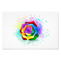 Colourful Rainbow Rose