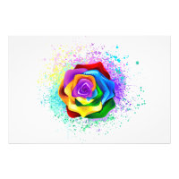 Colourful Rainbow Rose