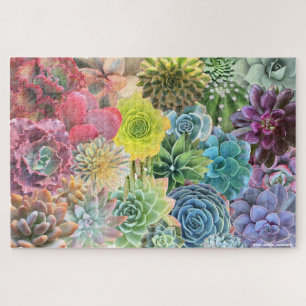 Colourful Rainbow Succulent Puzzle