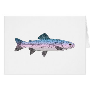 Colourful Rainbow Trout
