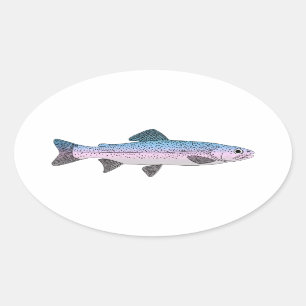 Colourful Rainbow Trout Oval Sticker