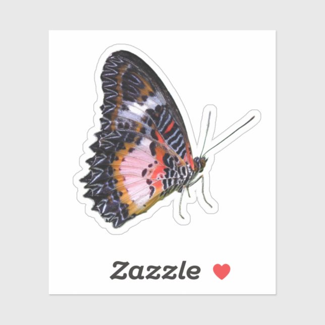 Colourful Rainforest Butterfly (Sheet)