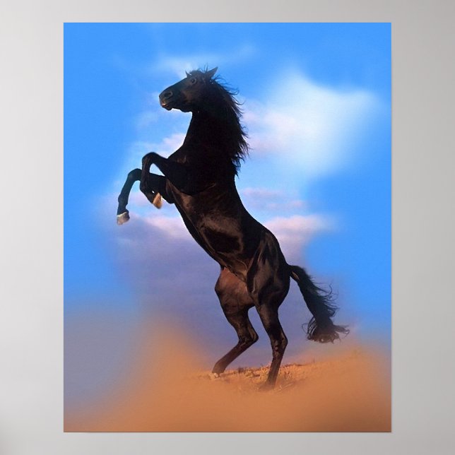 Colourful Rearing Black Horse Blue Sky Poster (Front)