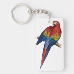 Colourful Red and Yellow Macaw Key Ring