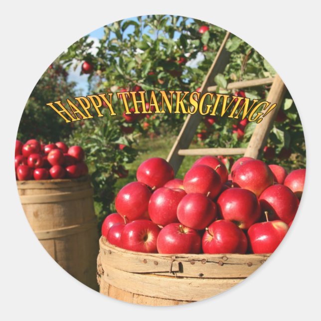 Colourful Red Apple Harvest Thanksgiving Classic Round Sticker (Front)