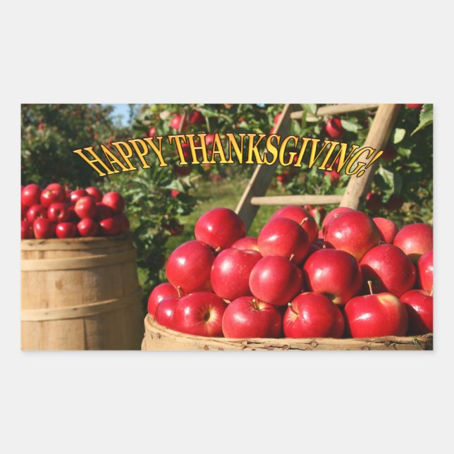 Colourful Red Apple Harvest Thanksgiving Rectangul Rectangular Sticker (Front)