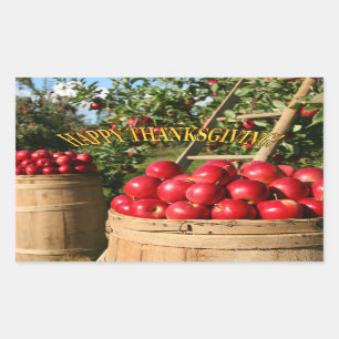 Colourful Red Apple Harvest Thanksgiving Rectangul Rectangular Sticker