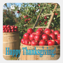 Colourful Red Apple Harvest Thanksgiving