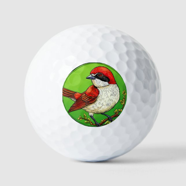 Colourful Red backed shrike Bird Golf Balls (Front)