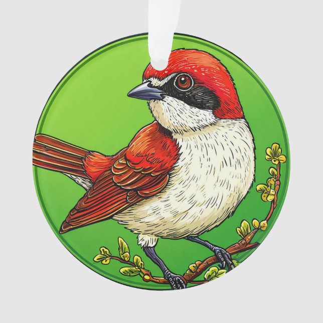 Colourful Red backed shrike Bird Ornament (Front)