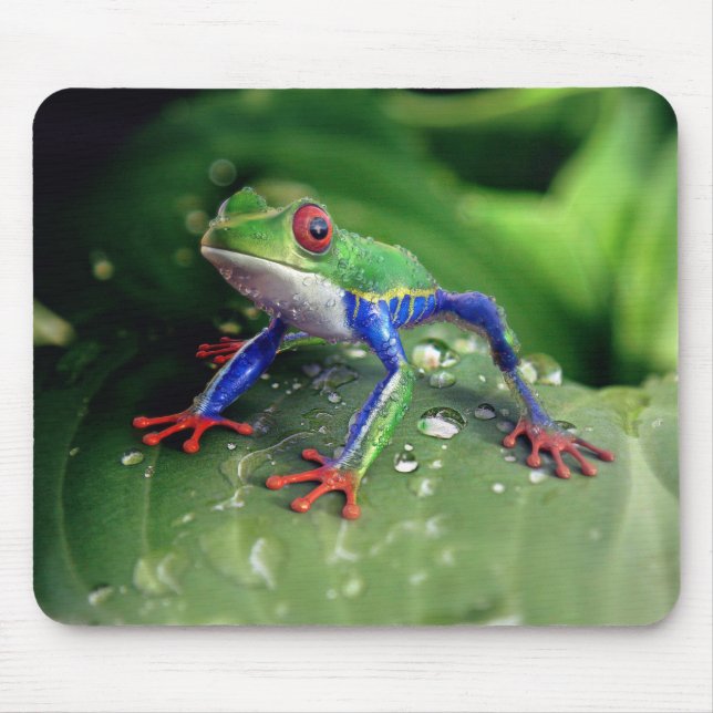 Colourful Red Eye Tree Frog on Plant Leaves Mouse Mat (Front)