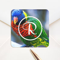 Colourful red green blue lorikeet bird monogram