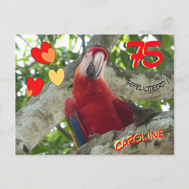 Colourful Red Parrot 75 th Birthday Postcard (Front)
