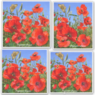 Colourful Red Poppies Contour