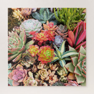 Colourful Red Succulent MixPuzzle Jigsaw Puzzle