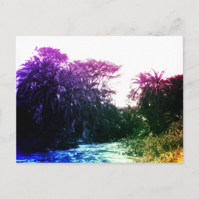 Colourful River Gallery Forest Vintage Tropical Postcard (Front)
