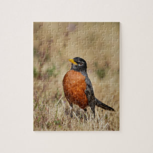 Colourful Robin Jigsaw Puzzle