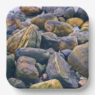Colourful rocks    paper plate