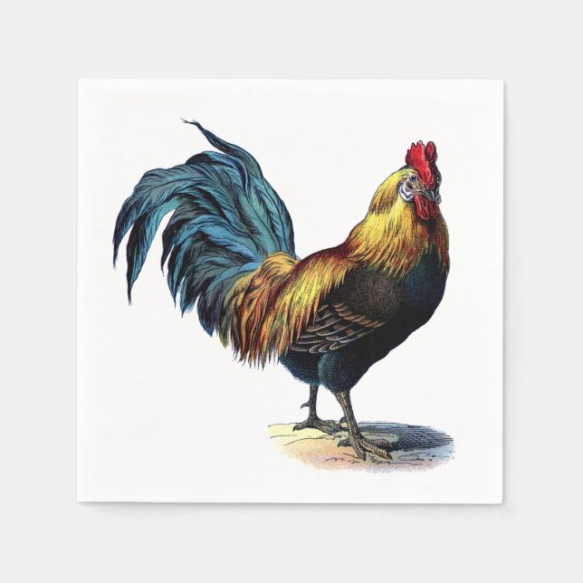 Colourful Rooster Country Chicken Vintage Picture Napkin (Front)
