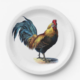 Colourful Rooster Country Chicken Vintage Picture Paper Plate