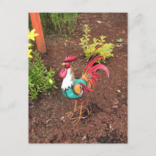 Colourful Rooster in the Garden Postcard