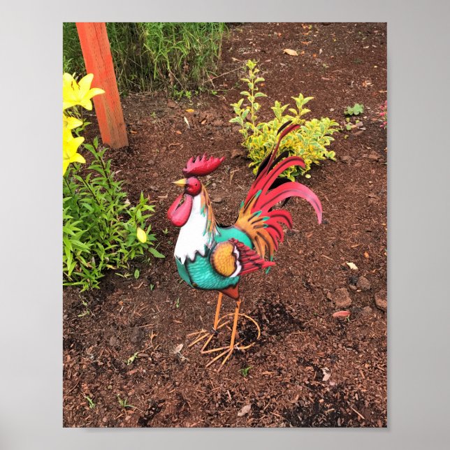 Colourful Rooster in the Garden Poster (Front)