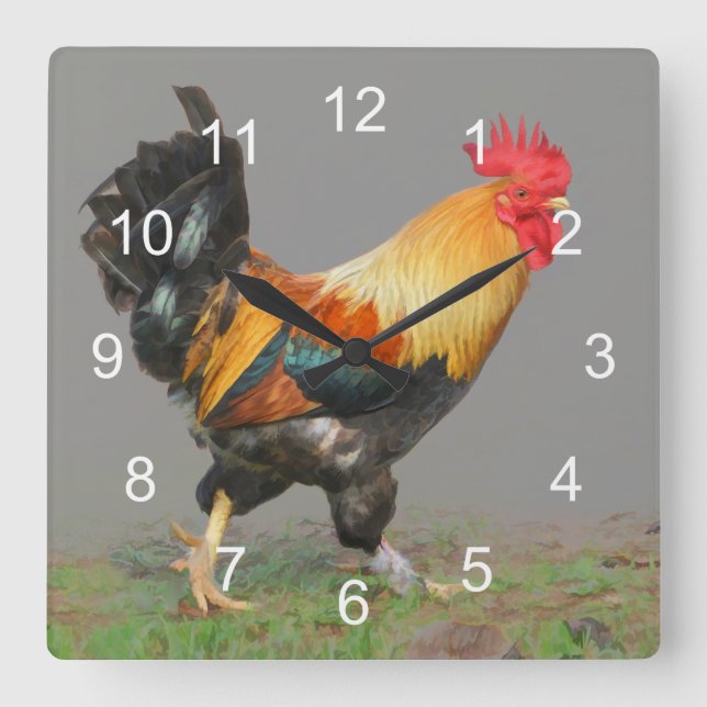 Colourful Rooster, Nature's Alarm Square Wall Clock (Front)