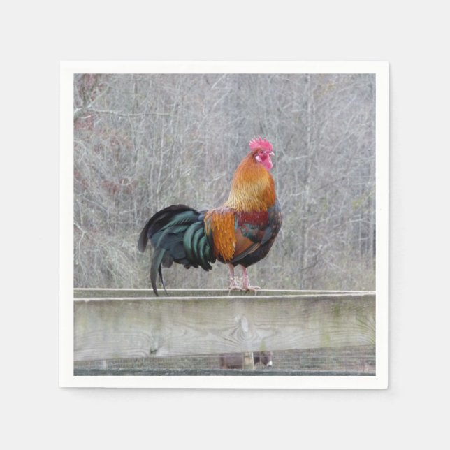 Colourful Rooster On Paper Napkins (Front)
