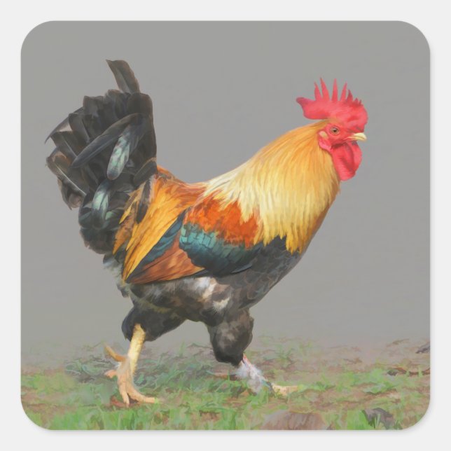 Colourful Rooster Painting Square Sticker (Front)