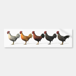 Colourful Roosters Bumper Sticker