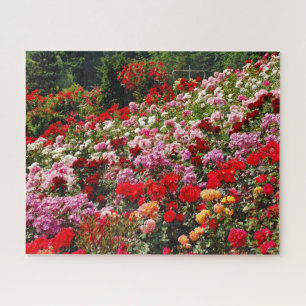 Colourful rose garden jigsaw puzzle
