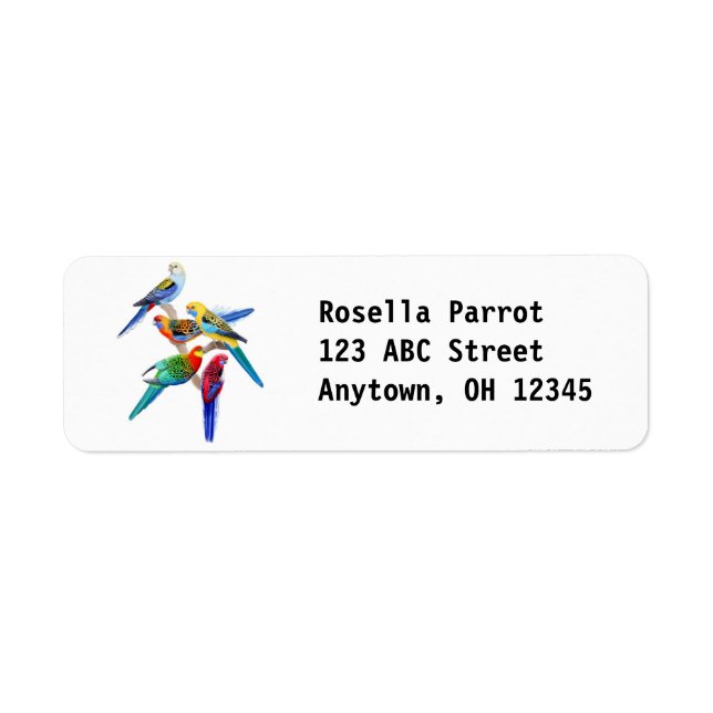 Colourful Rosella Parrots Label (Front)