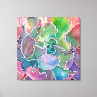 Colourful rosette succulent watercolor canvas print