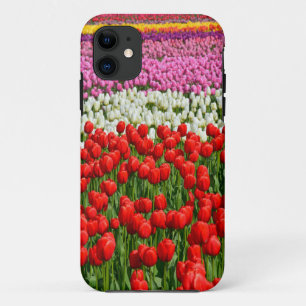 Colourful rows of spring tulips iPhone 11 case