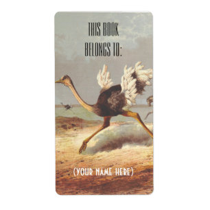 Colourful running ostrich illustration bookplate