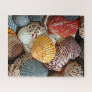 Colourful Scallops Jigsaw Puzzle