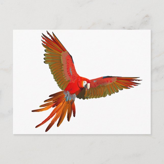 Colourful Scarlet macaw fly art Postcard (Front)