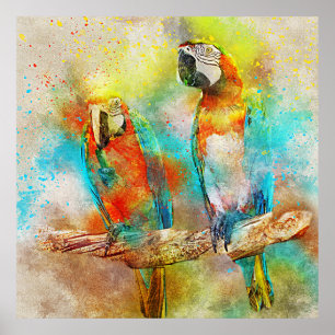 Colourful Scarlet Macaw Watercolor Poster