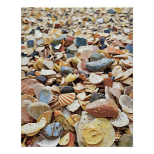 Colourful Sea Shells on Sandy Beach in an Abstract Poster