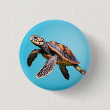 Colourful Sea Turtle Swimming Underwater