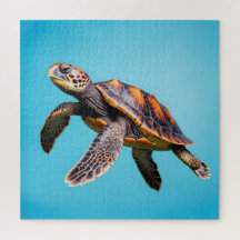 Colourful Sea Turtle Swimming Underwater