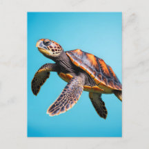 Colourful Sea Turtle Swimming Underwater