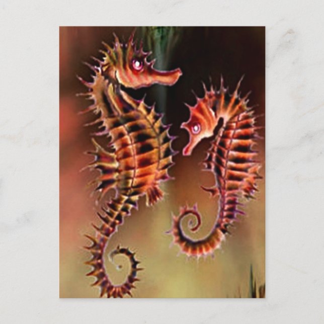 Colourful Seahorses Postcard (Front)