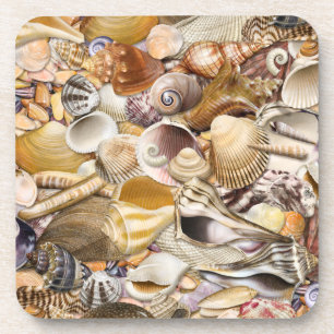 Colourful Seashells Coasters