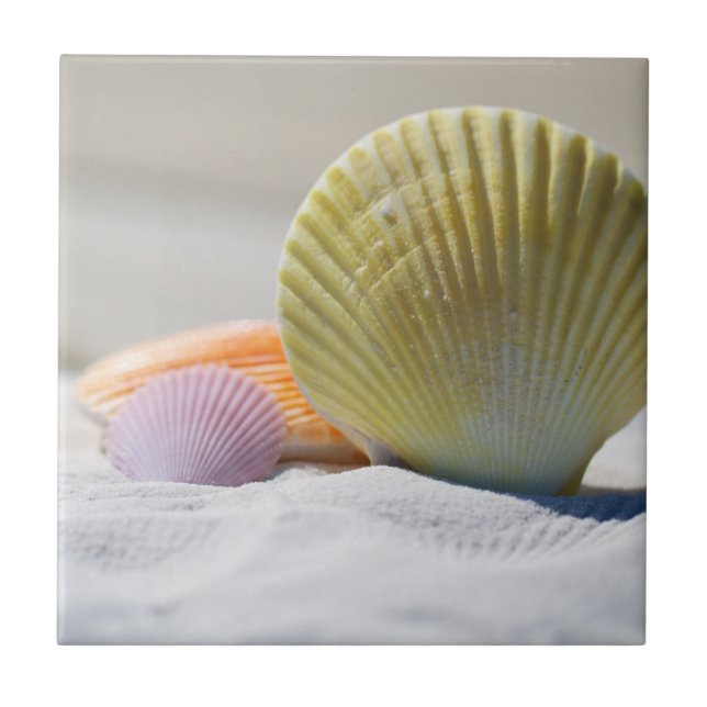 Colourful Seashells in the Sand Tile (Front)