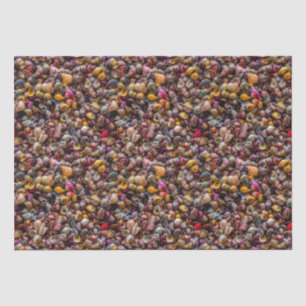 Colourful Seashells Photo Repeating Pattern Tissue Paper