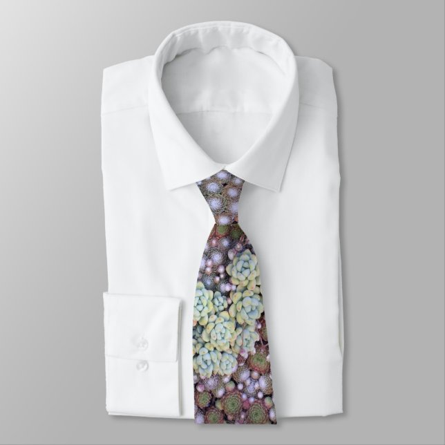 Colourful Sedum and Sempervivum Succulent Tie (Tied)