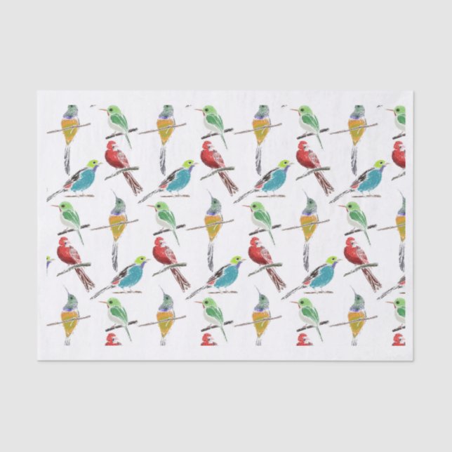 Colourful Set of Hand-Drawn Birds Pattern Tissue Paper (Front)