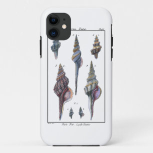 Colourful Seven Seashells iPhone 11 Case