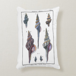 Colourful Seven Seashells Decorative Cushion